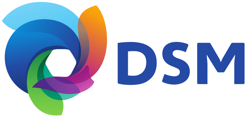 team dsm logo